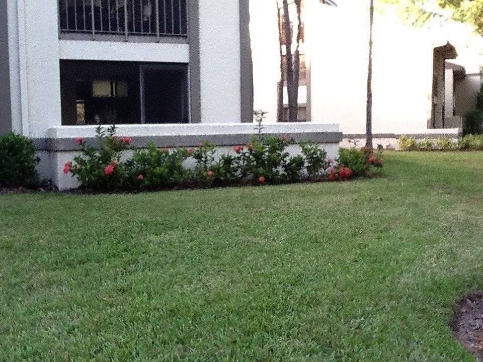 Photo of Others in Oldsmar
