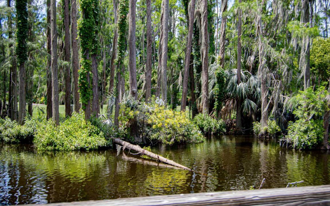Photo of Others in Wesley Chapel