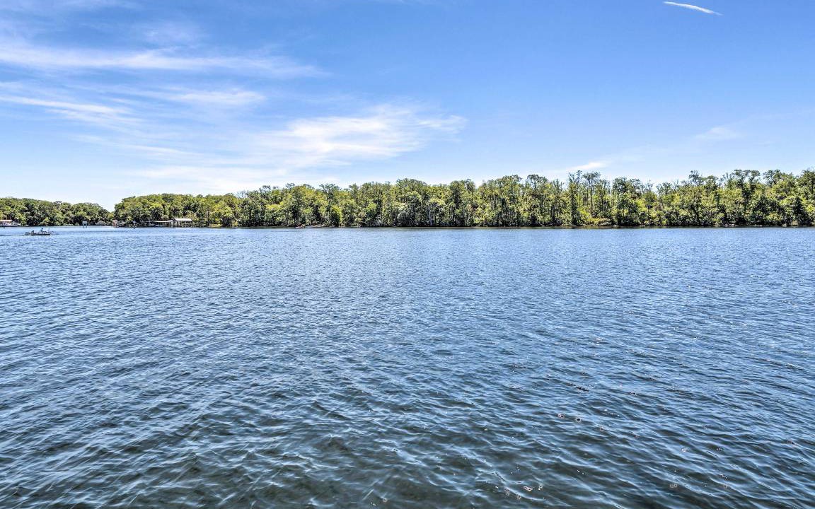 Photo of Others in Homosassa