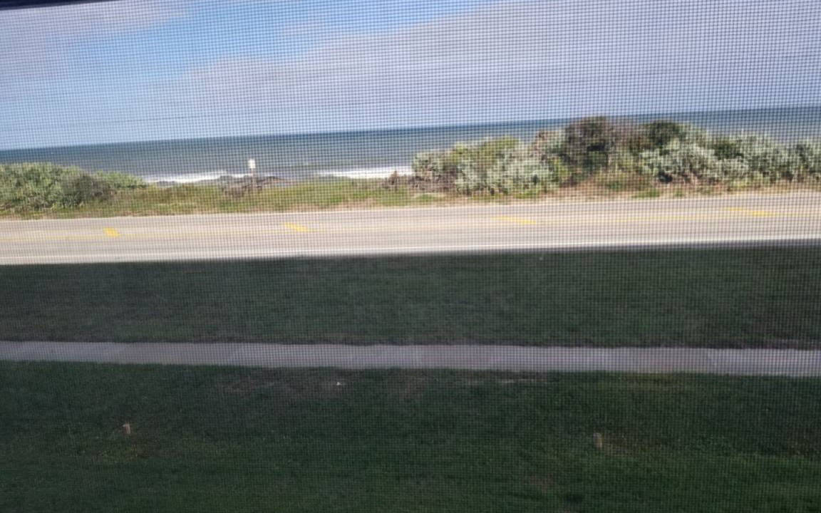 Photo of Others in Ormond-by-the-Sea
