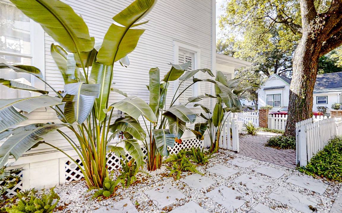 Photo of Others in Tampa Heights