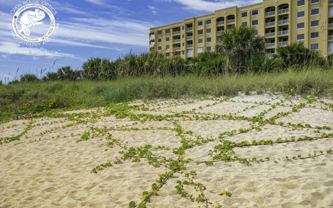 Photo of Others in Palm Coast