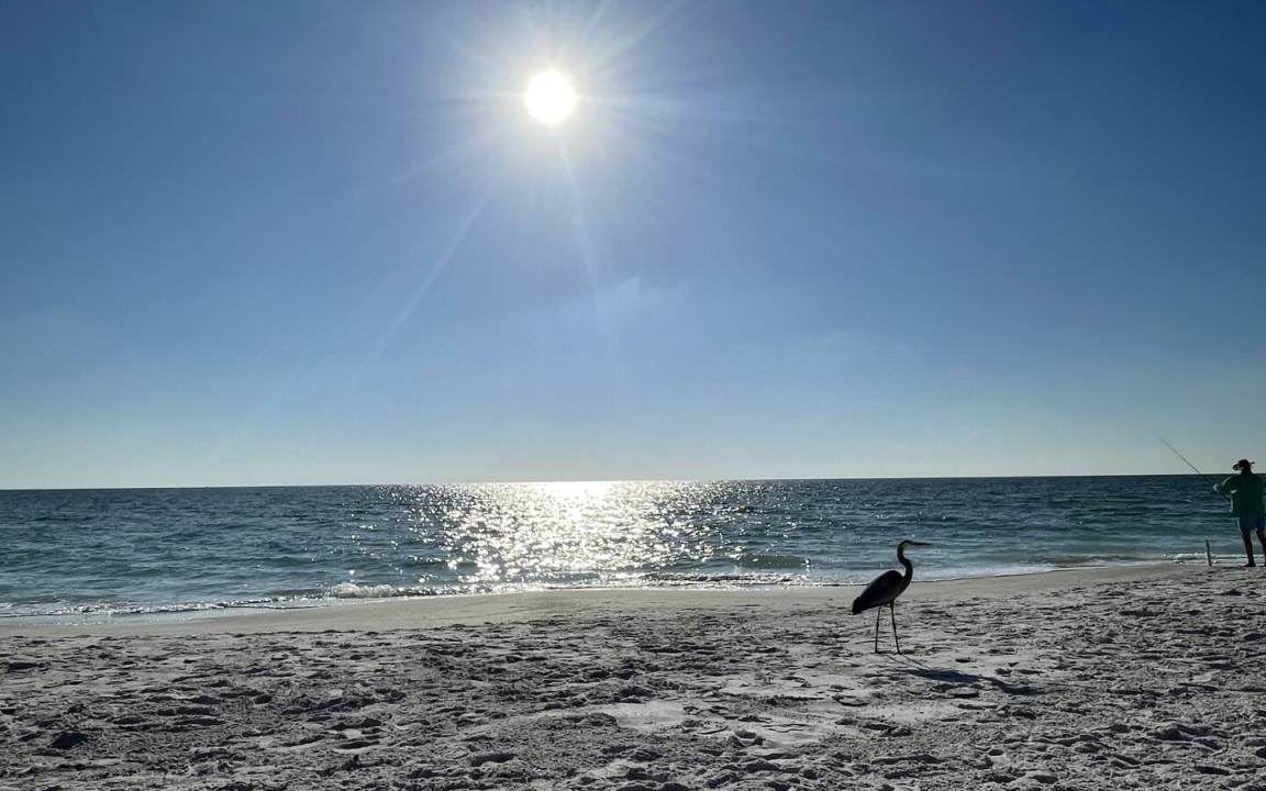 Photo of Others in Longboat Key
