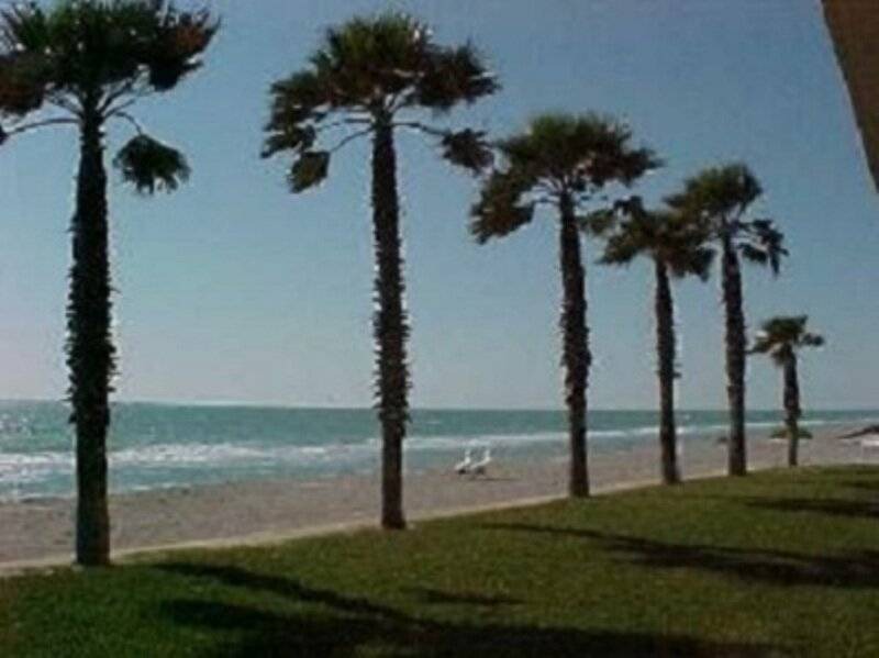 Photo of Others in Longboat Key