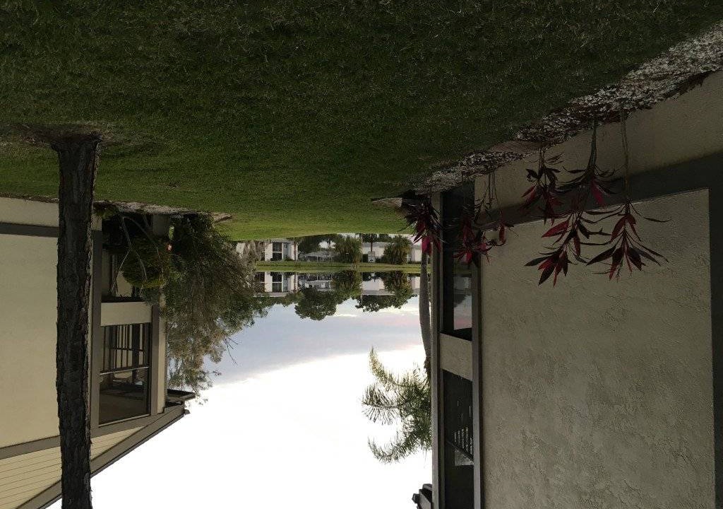 Photo of Others in Oldsmar