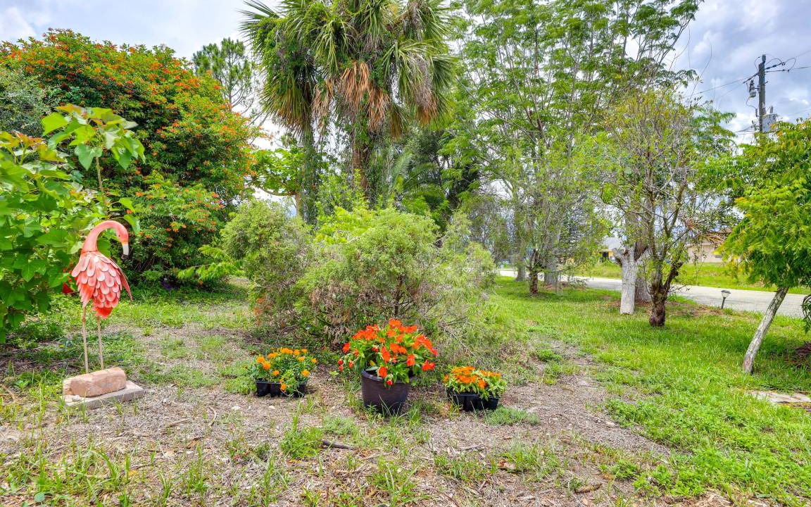 Photo of Others in Warm Mineral Springs