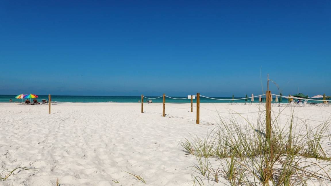 Photo of Others in Siesta Key