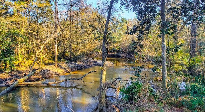 Photo of Others in Bonifay
