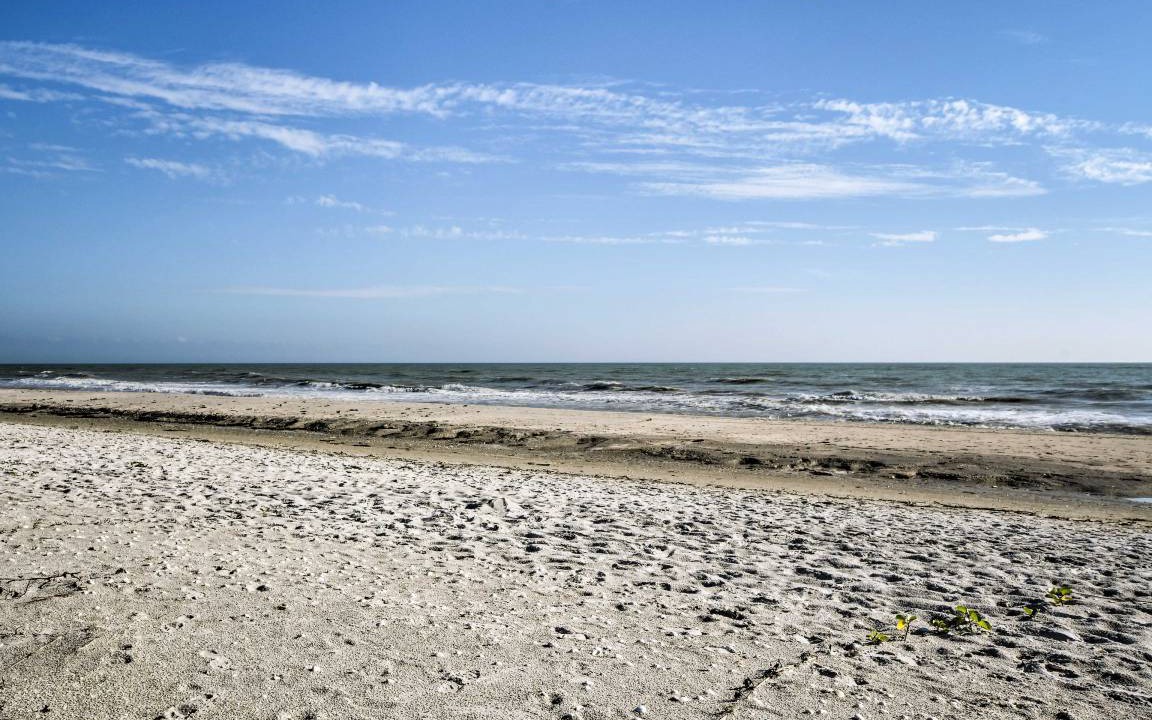 Photo of Others in Sanibel
