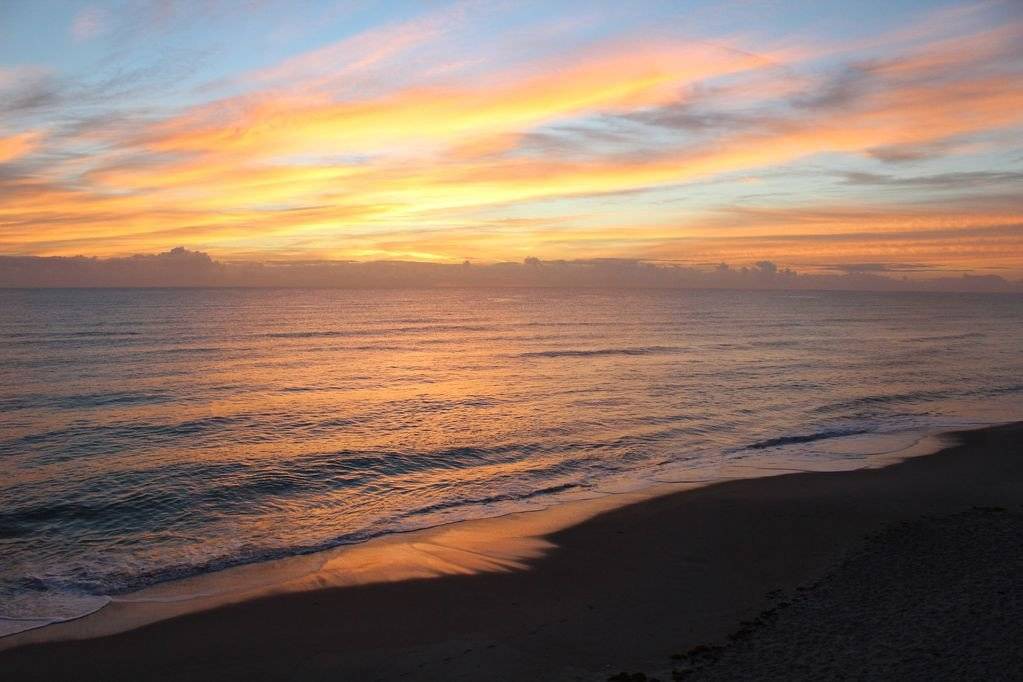 Photo of Others in Satellite Beach