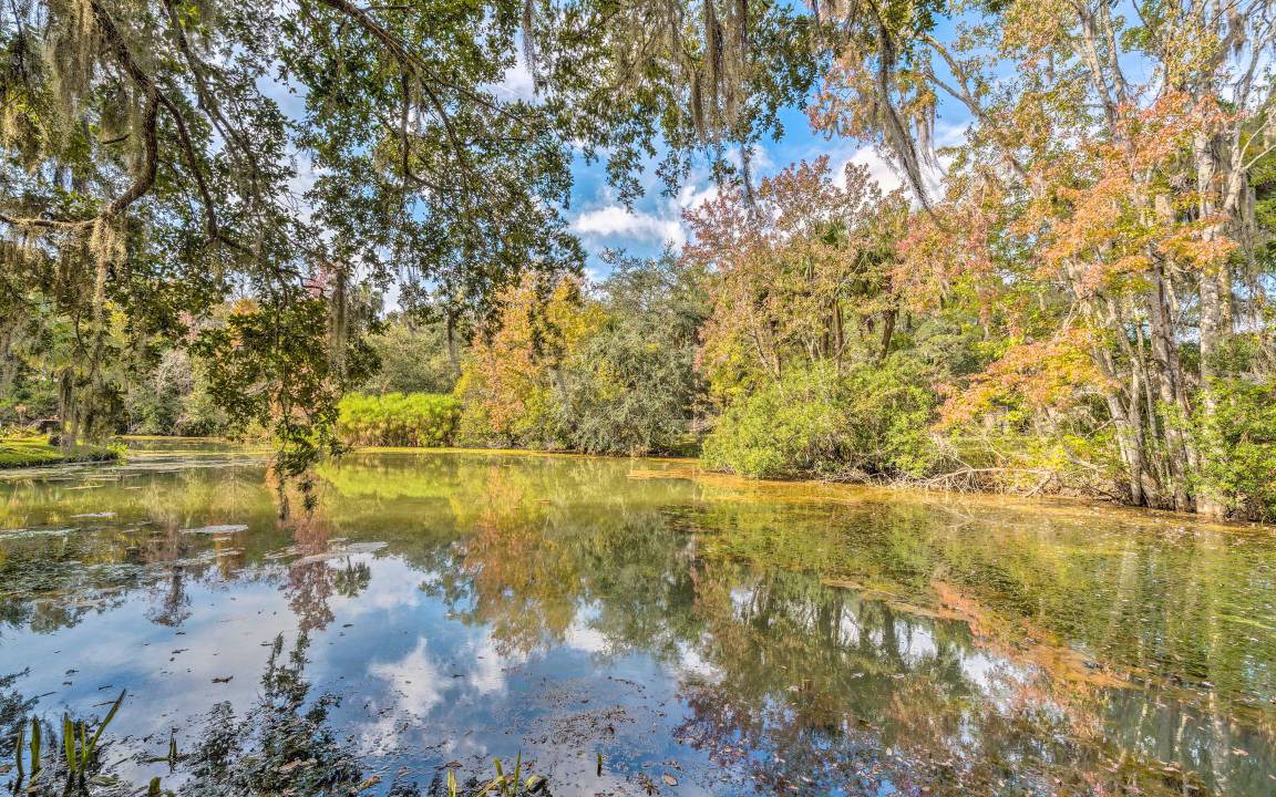 Photo of Others in Crystal River