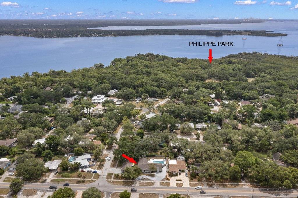Photo of Others in Safety Harbor