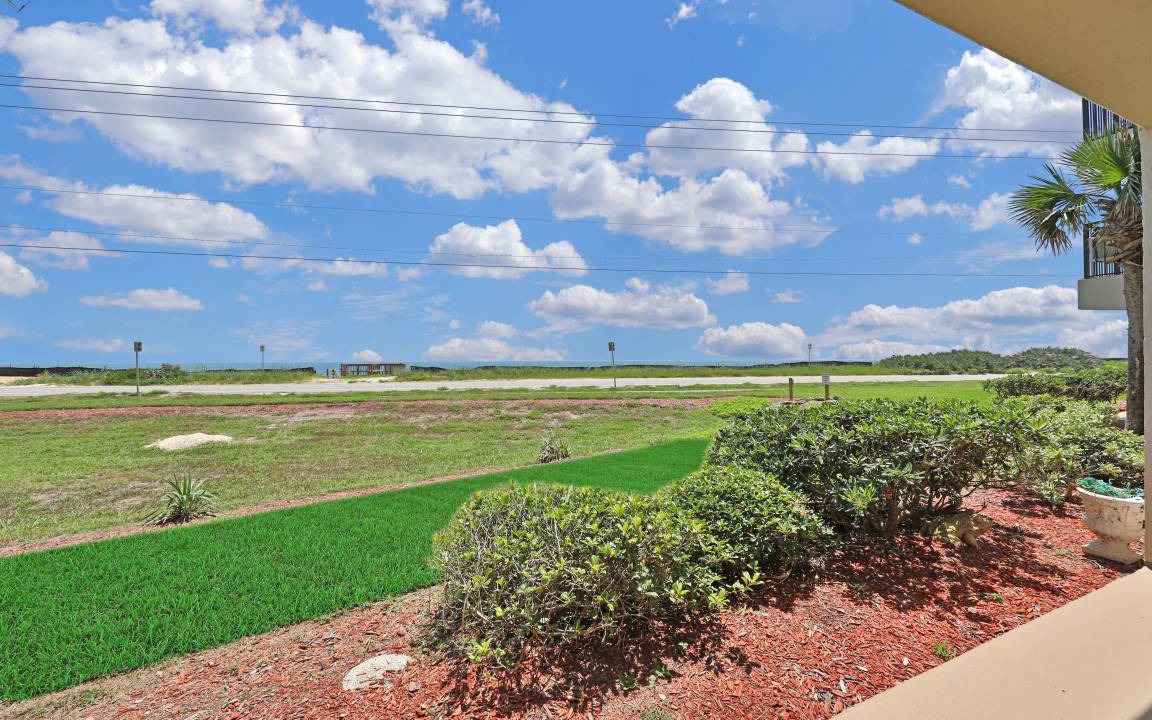 Photo of Others in Ormond-by-the-Sea