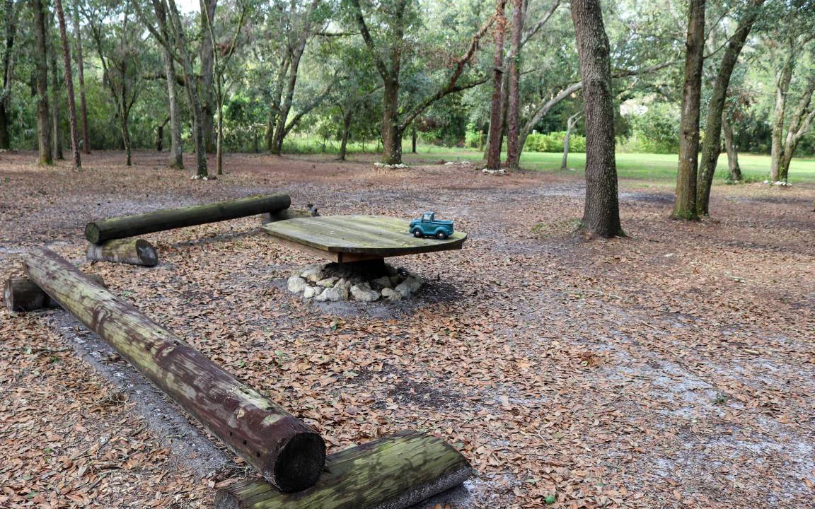 Photo of Others in Valrico