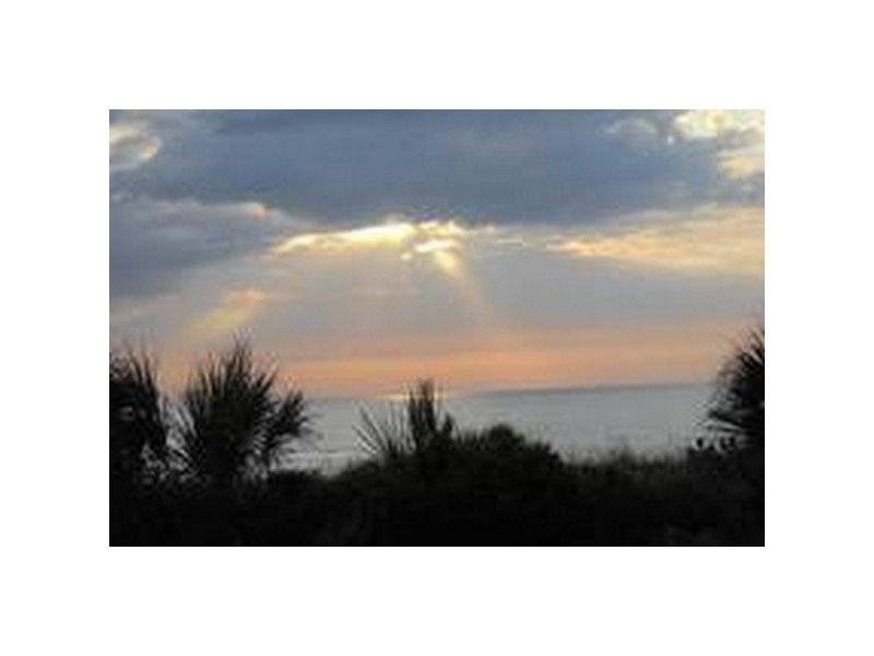 Photo of Others in Flagler Beach