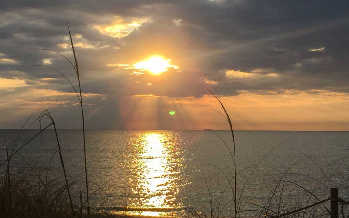 Photo of Others in Dania Beach