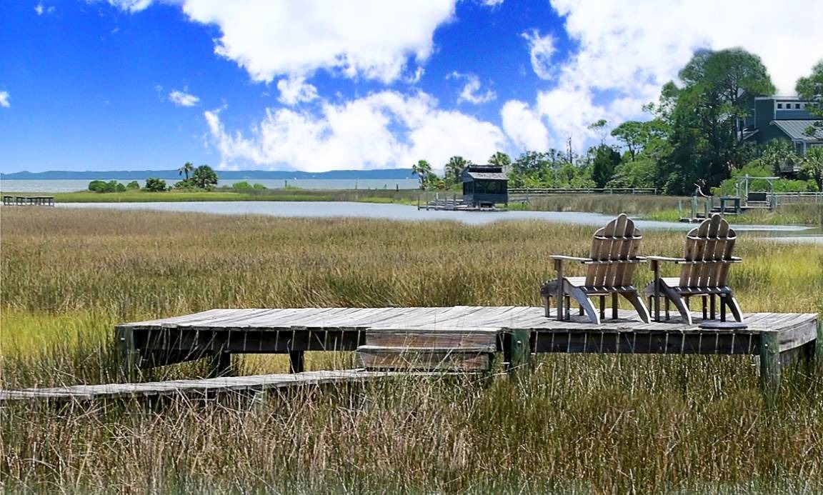 Photo of Others in Plantation