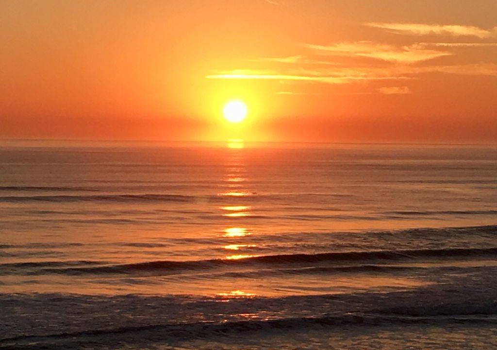 Photo of Others in Daytona Beach Shores