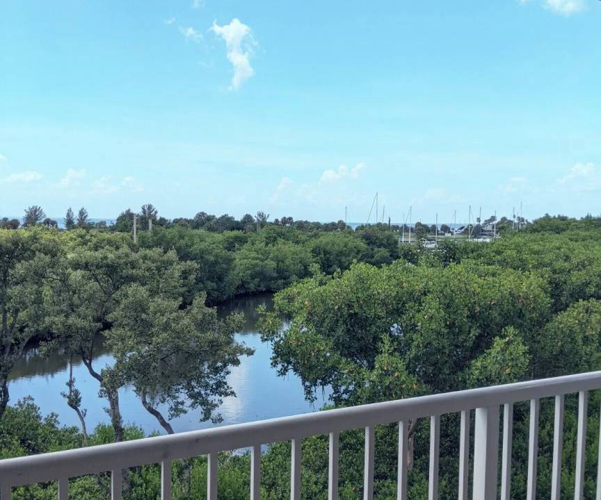 Photo of Patio Balcony in Ruskin