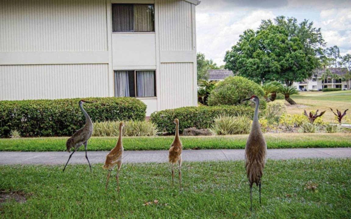 Photo of Others in Wesley Chapel