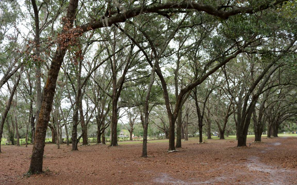 Photo of Others in Valrico