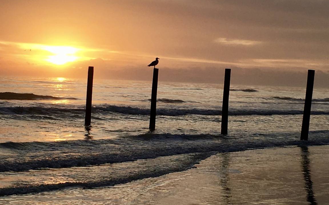 Photo of Others in Daytona Beach Shores