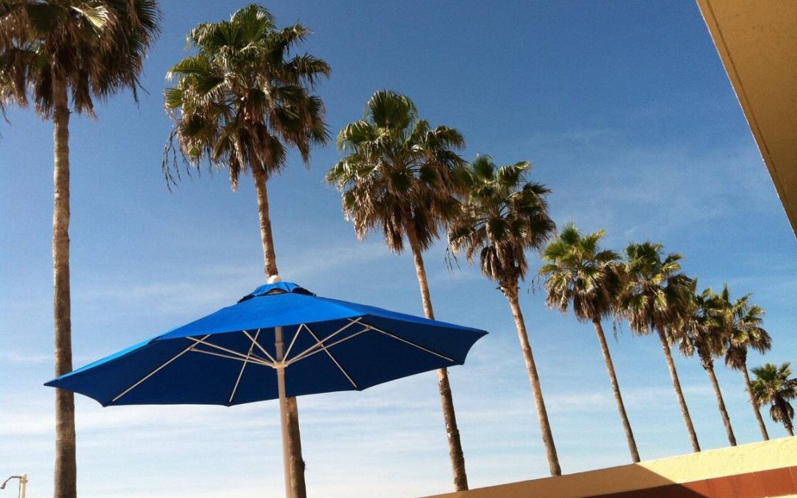 Photo of Others in Longboat Key