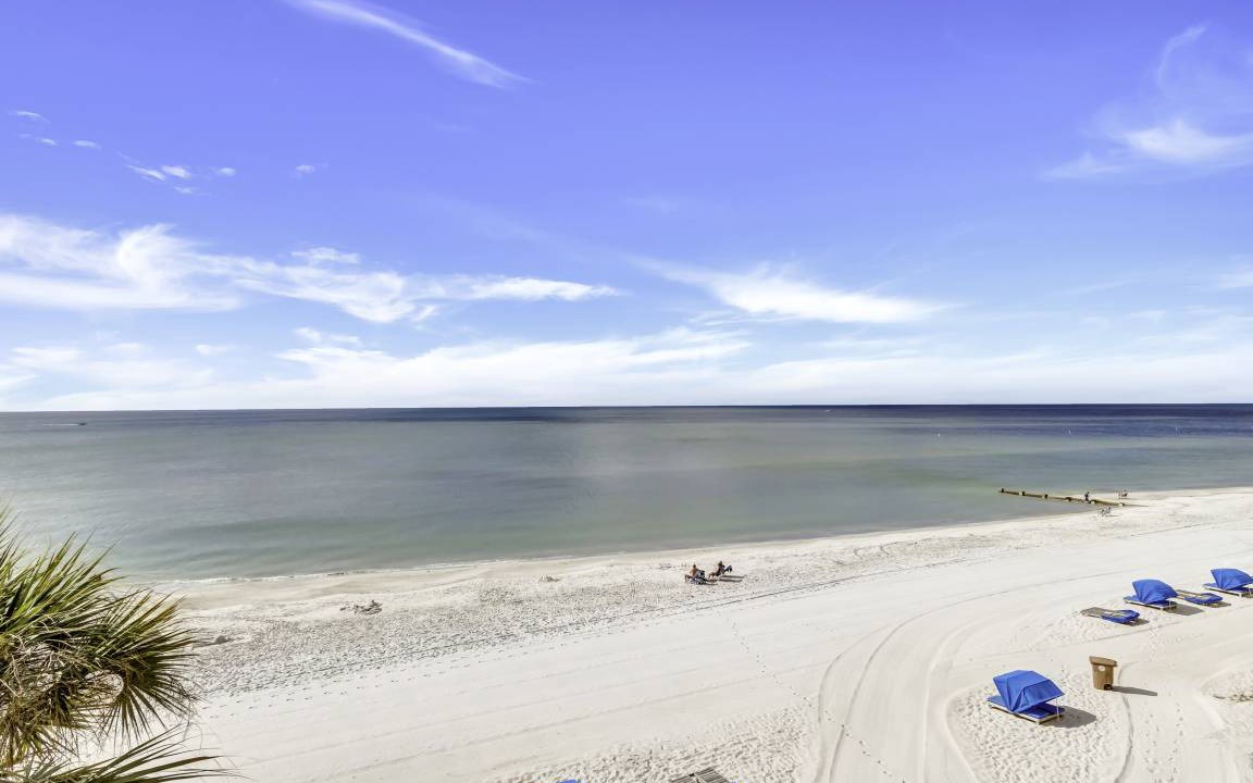 Photo of Others in Madeira Beach