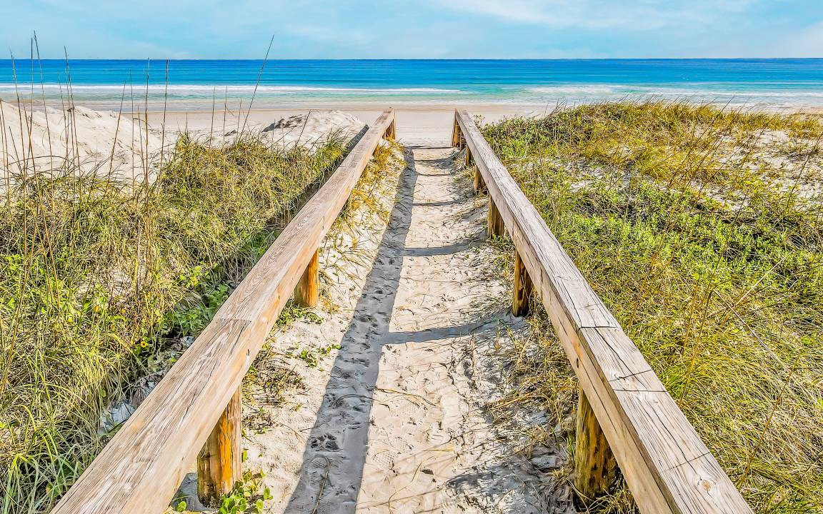 Photo of Others in Jacksonville Beach