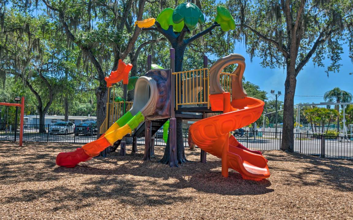 Photo of Others in Braden River