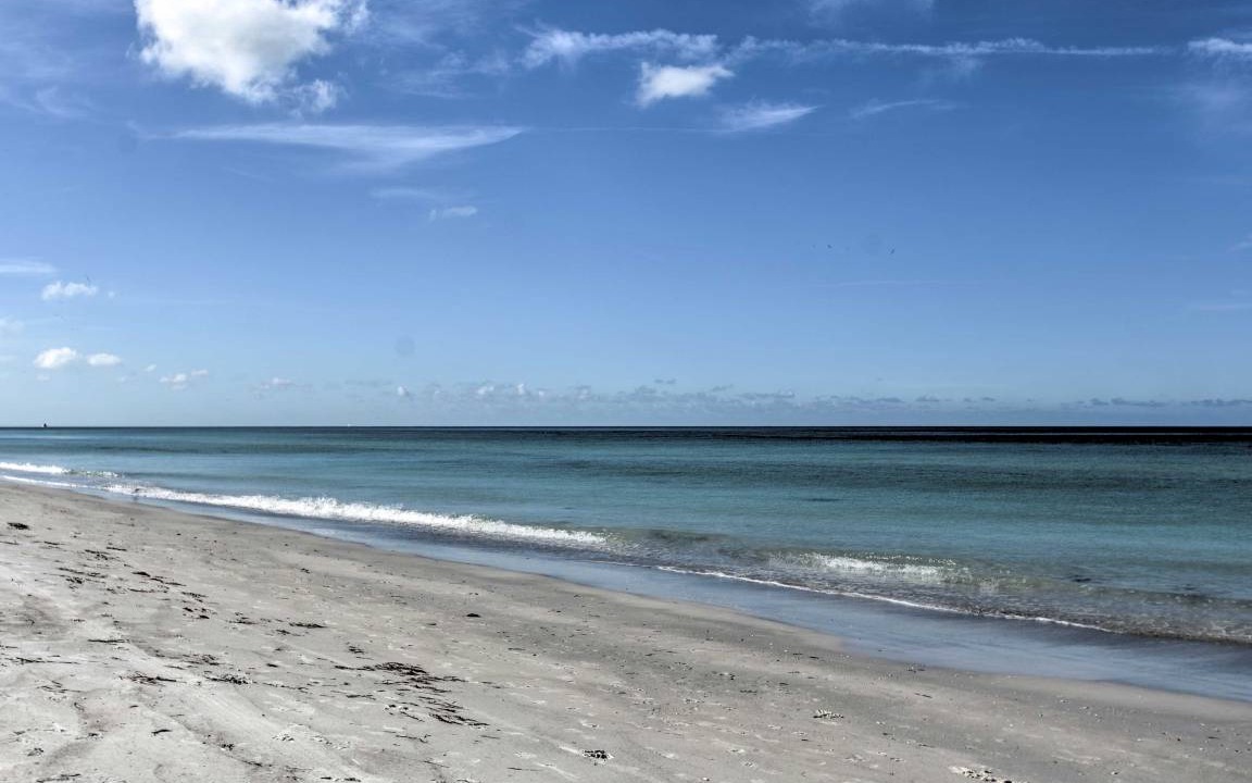 Photo of Others in Indian Shores