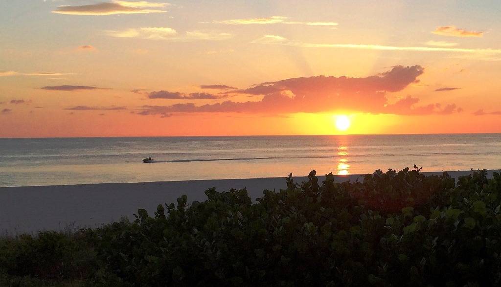 Photo of Others in Marco Island