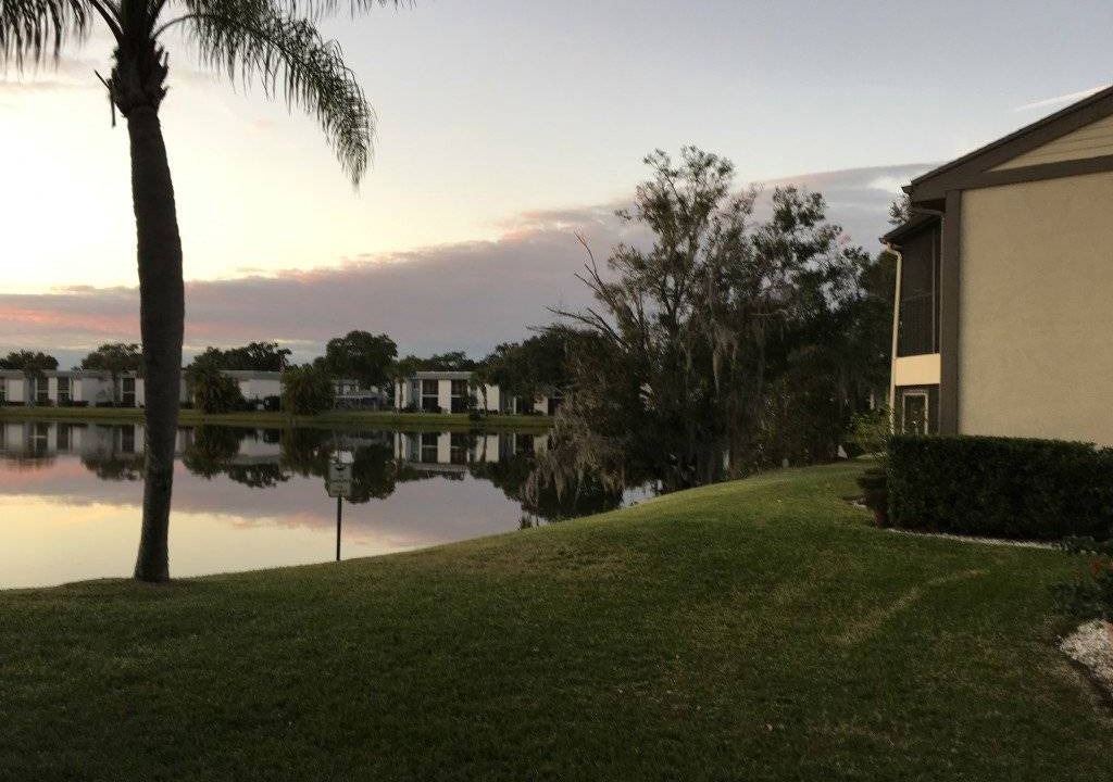 Photo of Others in Oldsmar