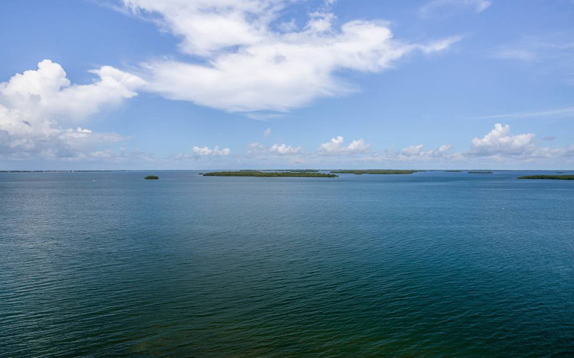 Photo of Others in Punta Rassa