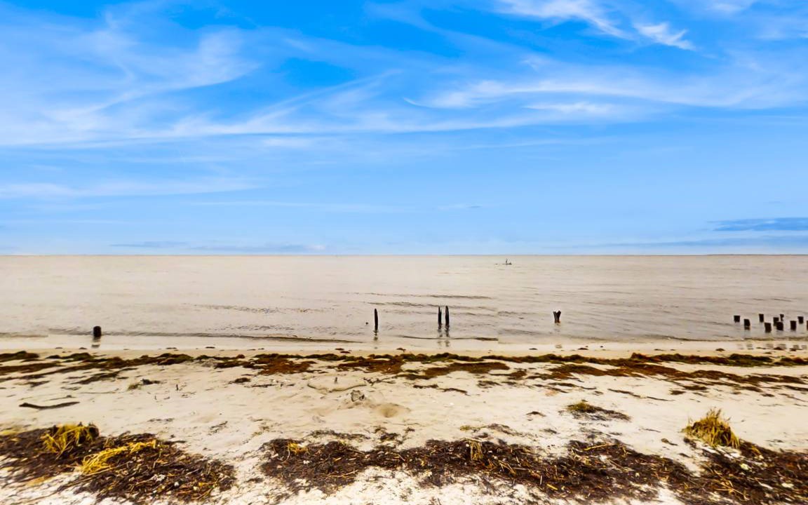 Photo of Outdoor in Carrabelle