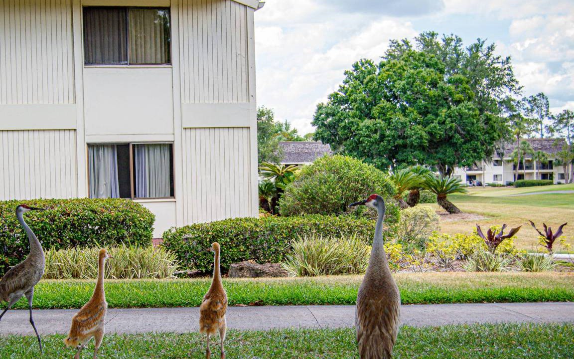 Photo of Others in Wesley Chapel