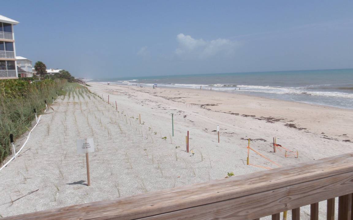 Photo of Others in Wabasso Beach