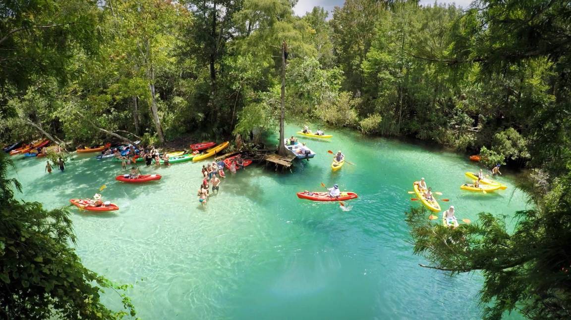 Photo of Others in Weeki Wachee Gardens