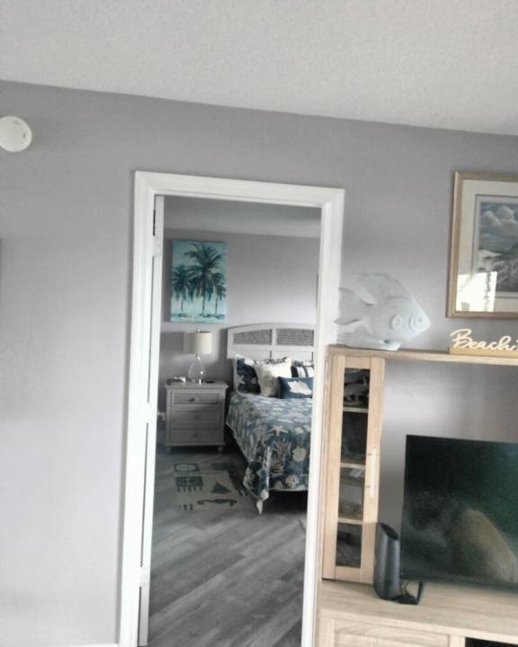 Photo of Others in Ormond-by-the-Sea