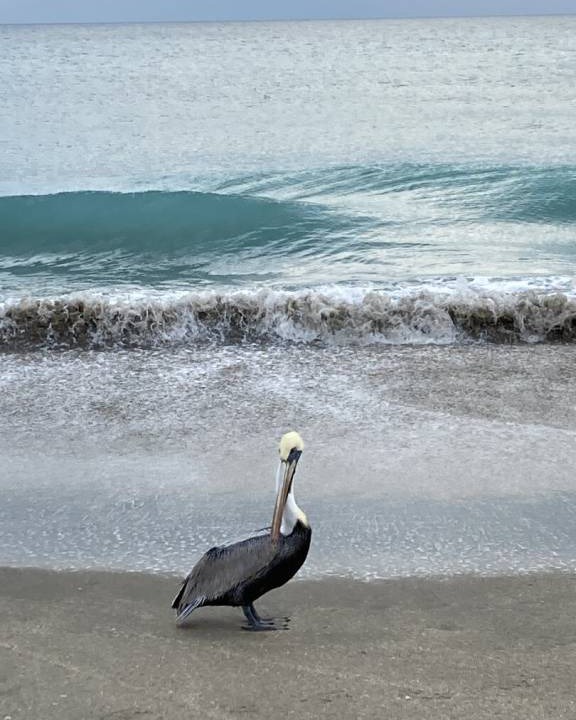 Photo of Others in Stuart