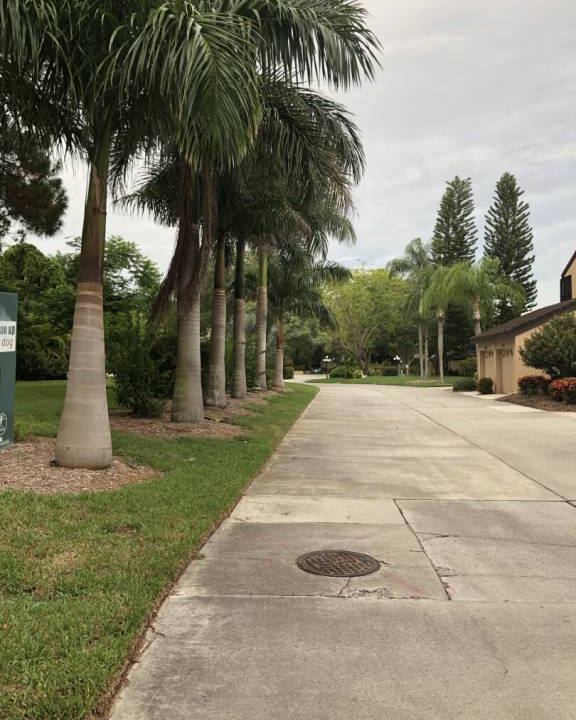 Photo of Others in Gulf Gate Estates