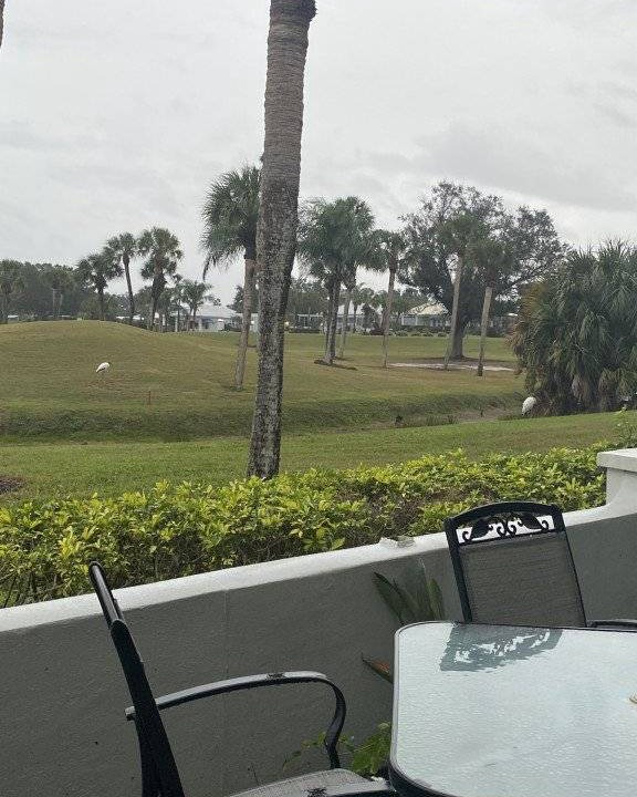 Photo of Others in Plantation