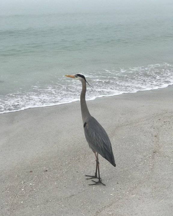 Photo of Others in Bradenton