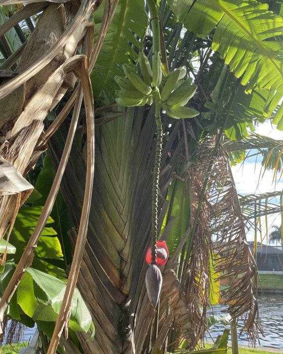 Photo of Others in Charlotte Harbor