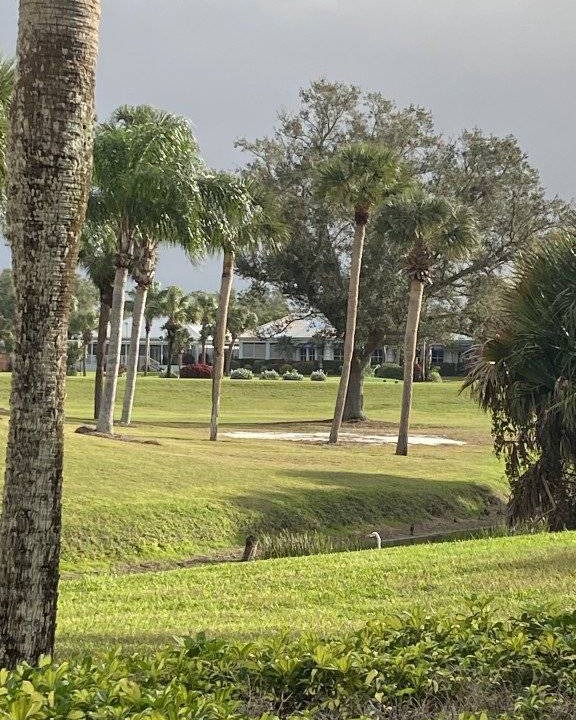 Photo of Others in Plantation