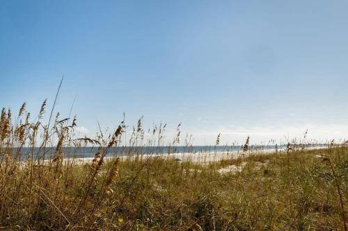 Photo of Others in Jacksonville Beach