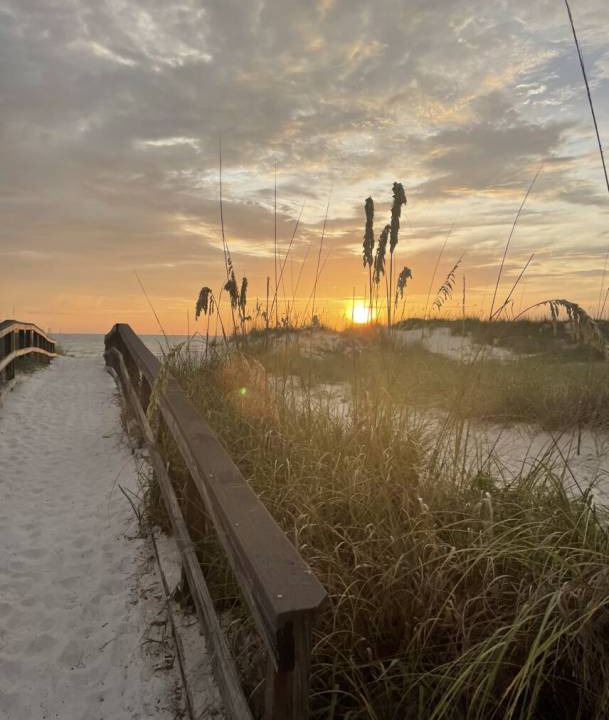 Photo of Others in Redington Shores