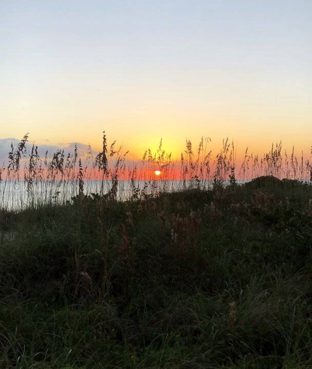 Photo of Others in Longboat Key