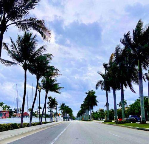 Photo of Others in Hendricks and Venice Isles
