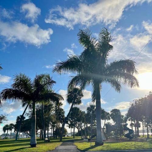 Photo of Others in South Palm Park Neighborhood Association